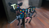 TkoMuzeUMuzeju_m